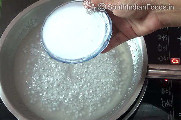Add coconut milk, let it boil for 3 min