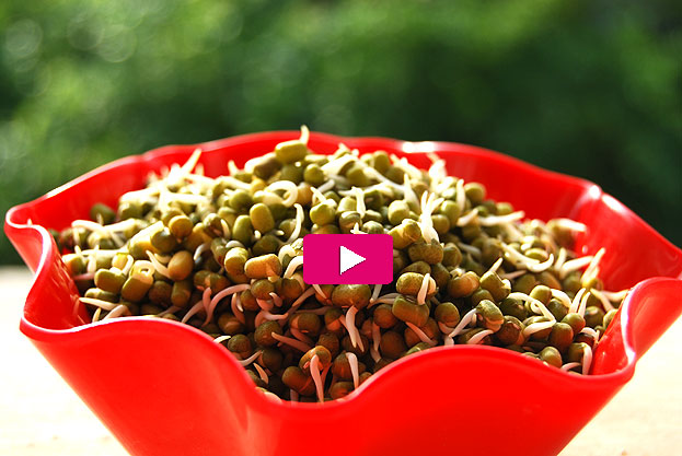 Sprouting green gram Easy method video