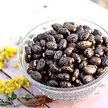 Kottaimuthu /Castor seeds