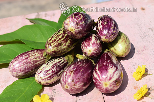 Organic eggplant [Nattu kathirikai]