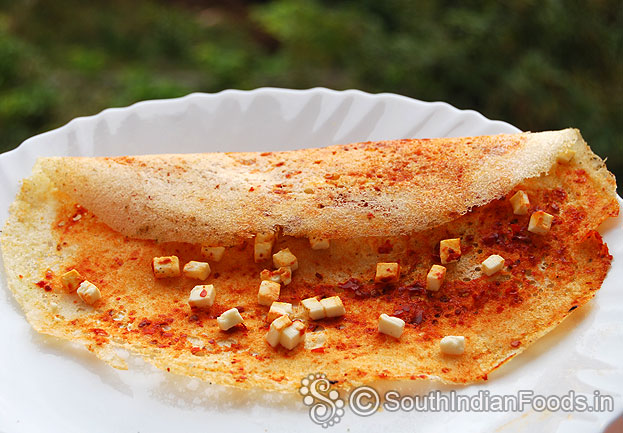 Crispy spicy schezwan paneer dosa-indian cottage cheese dosa