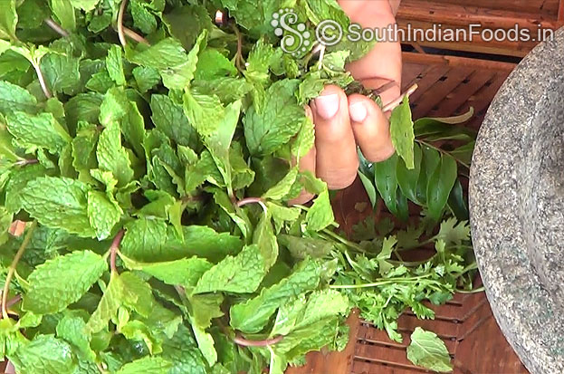 Mint leaves - 1 bunch, coriander & curry leaves-2 springs