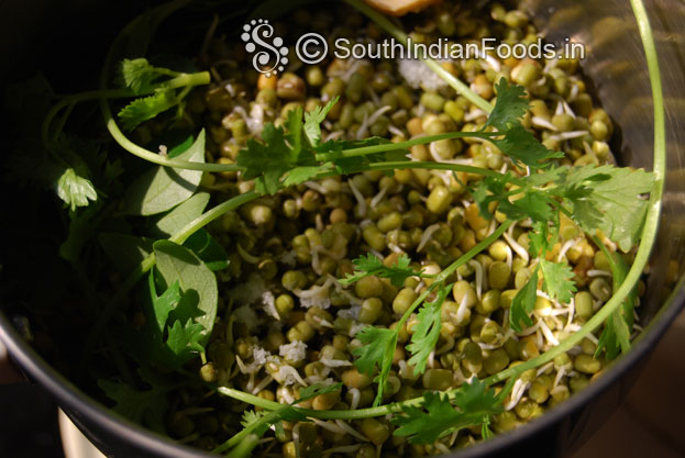 Add coriander curry leaves salt into sprouted green moong