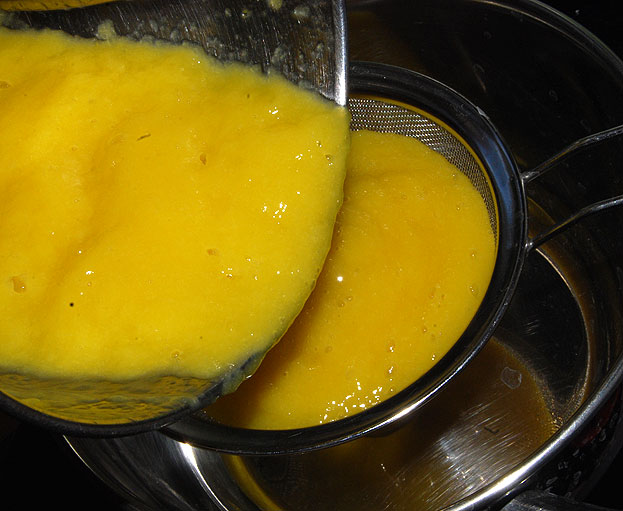 Pour mango mixture