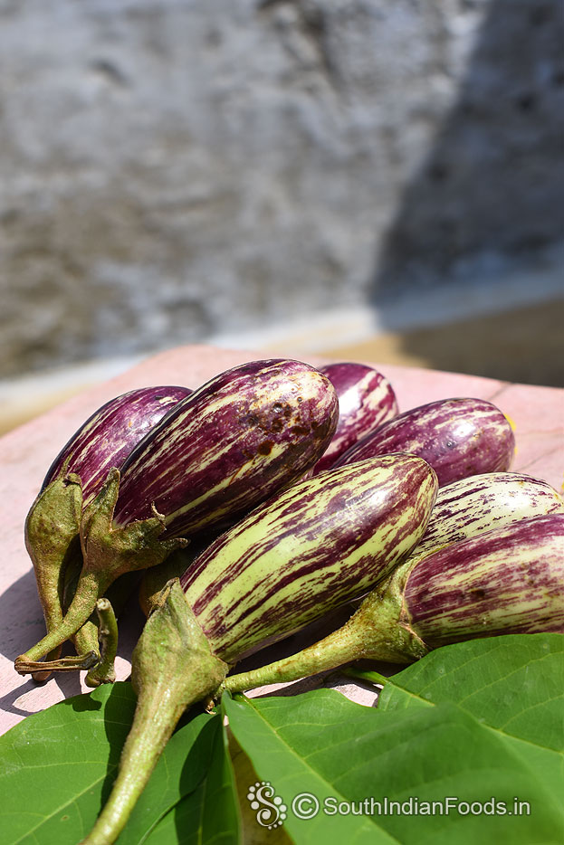 Eggplant, Nattu kathirikai