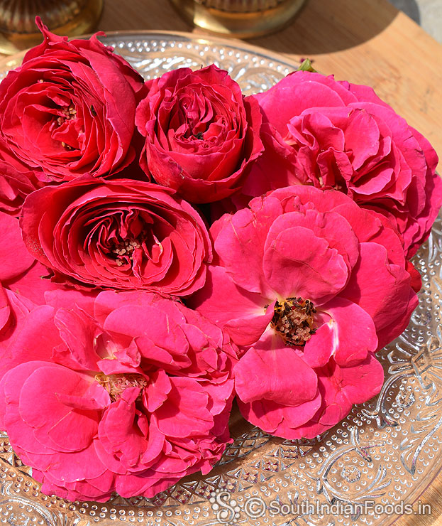 Organic pink rose