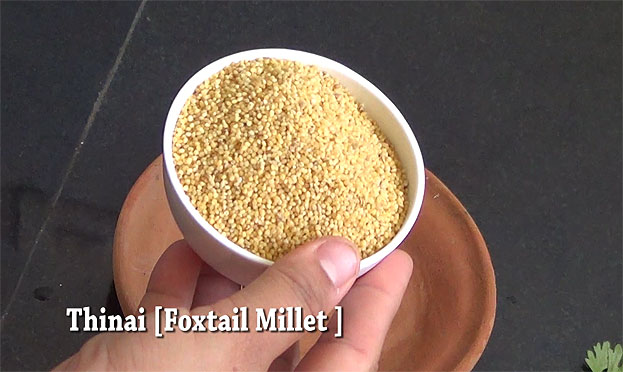 Take 1 cup thinai / foxtail millet